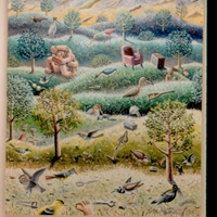 Morgan Bulkeley'swork, E-Z Bird I.D.